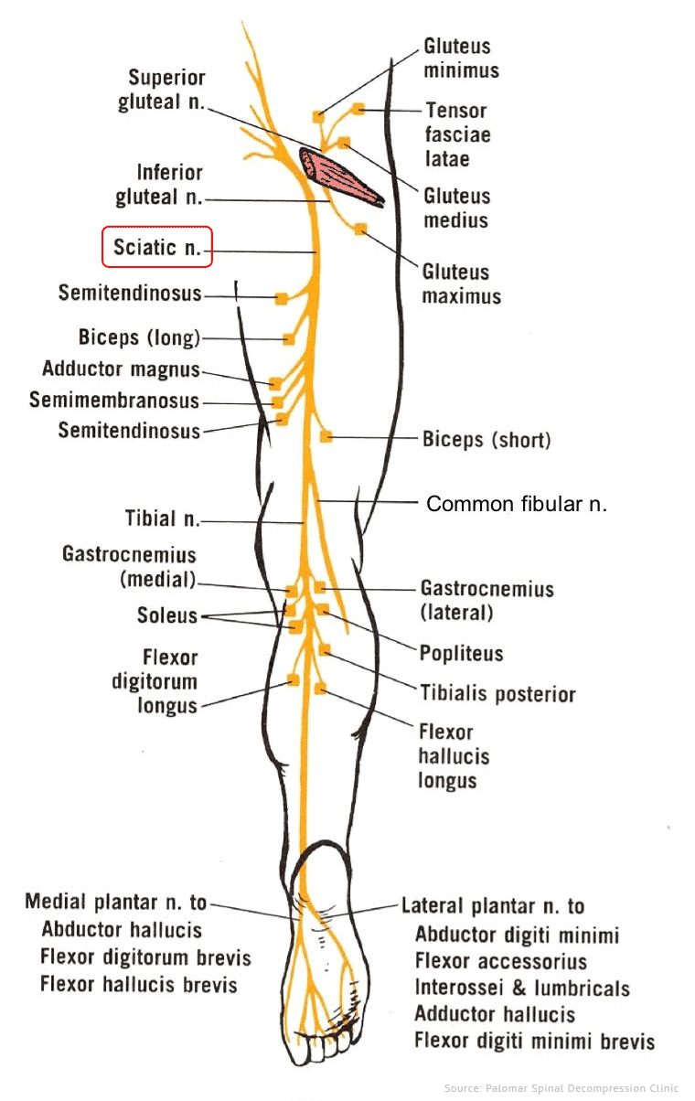 pin-on-nerve-pain-in-leg-and-foot