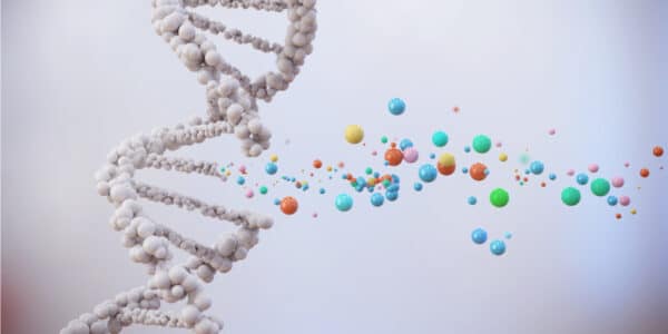 Illustration showing human gene