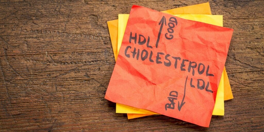 What’s the Difference Between Good and Bad Cholesterol?