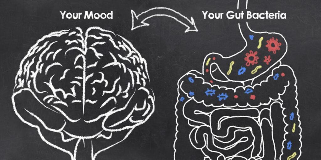 Gut health and anxiety