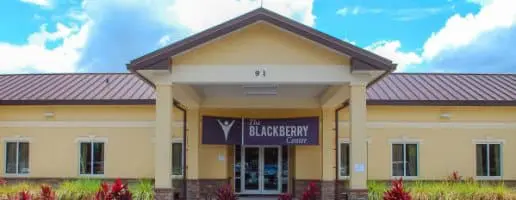 The Blackberry Center Listing