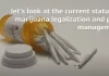 Local Regulation of Marijuana and Chronic Pain