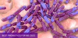Best Probiotics for IBS