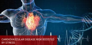Cardiovascular Disease Risk Boosted by Stress