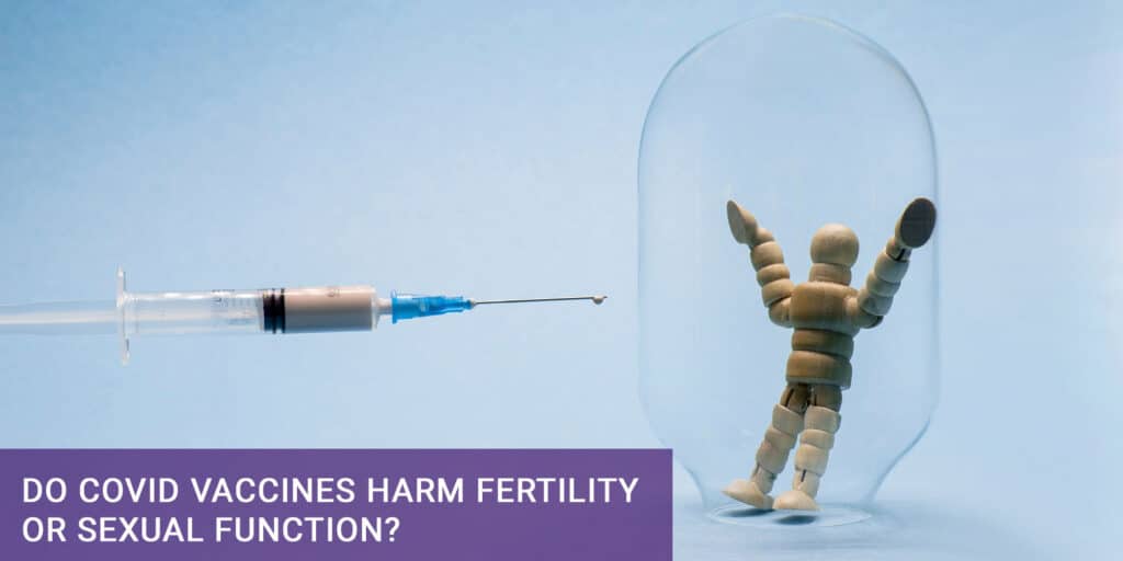 Do COVID Vaccines Harm Fertility or Sexual Function?