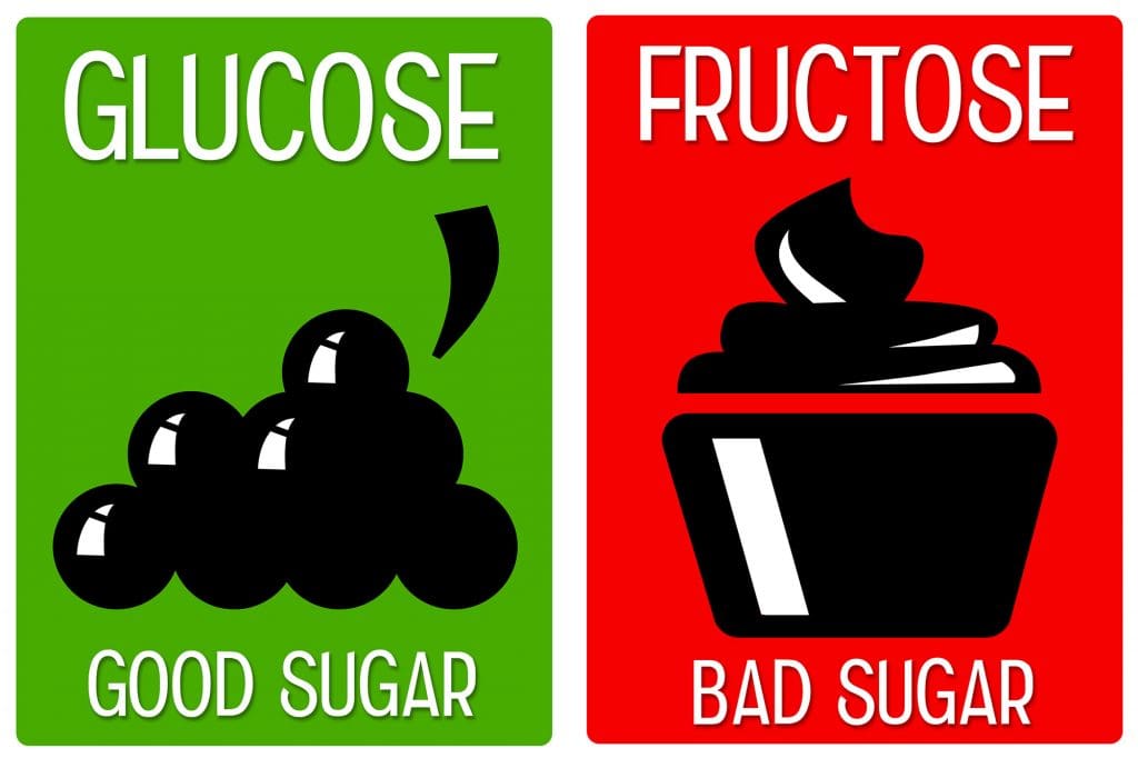 Good bad Fructose