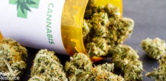 Medical Marijuana for Pain