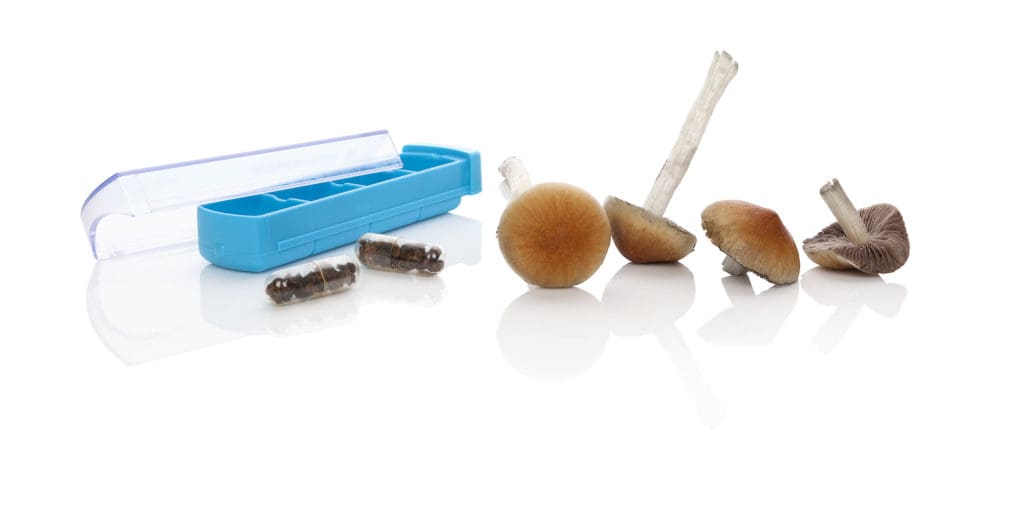 Microdosing Mushrooms for Mental Health Conditions