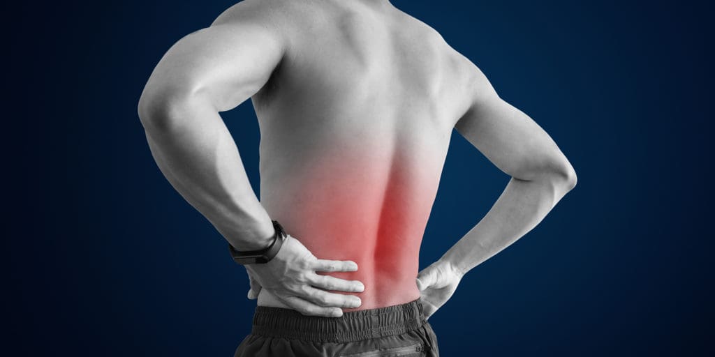 Muscular Back Pain vs Disc Back Pain - Spinal Backrack