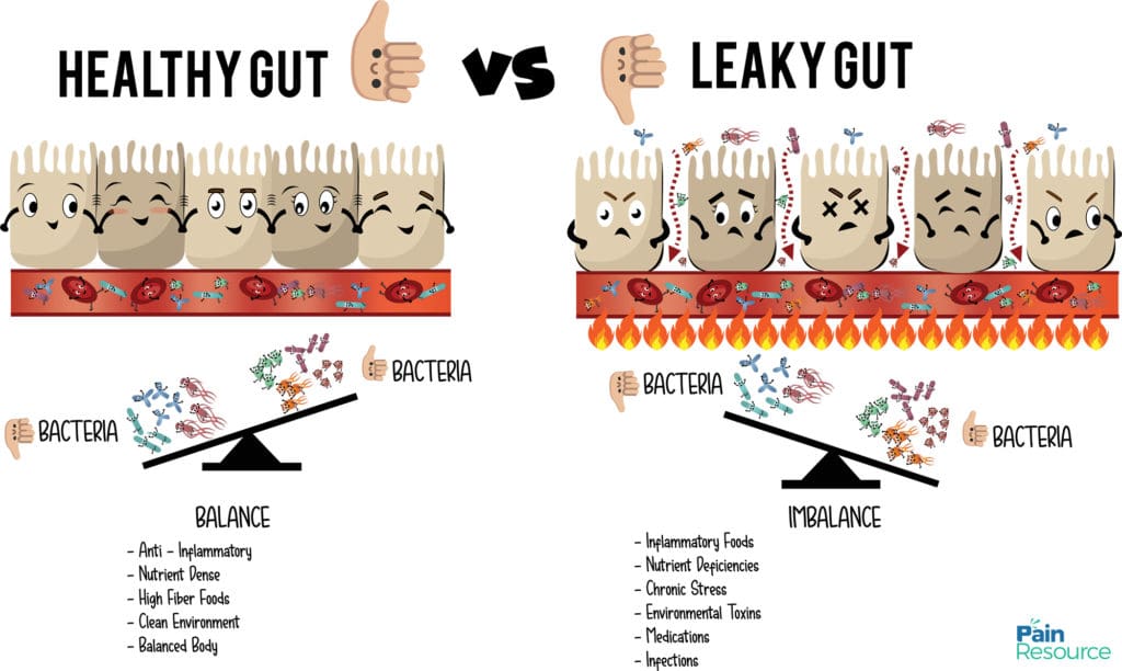 What is a leaky gut?