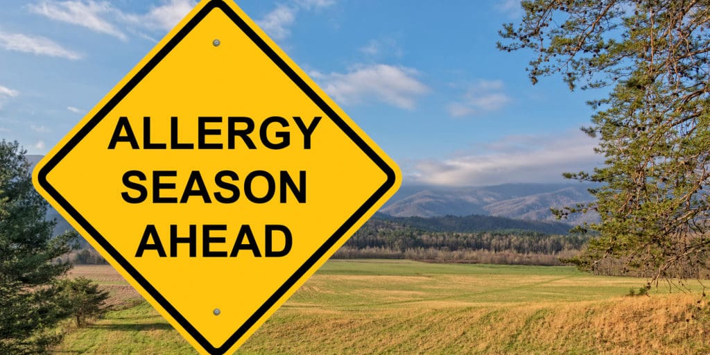 When is allergy season