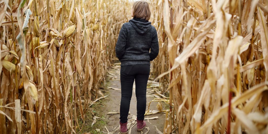 corn maze for joint pain activities