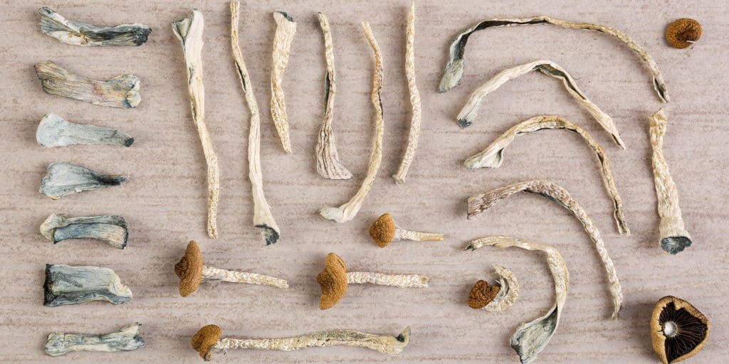 History of microdosing mushrooms for pain