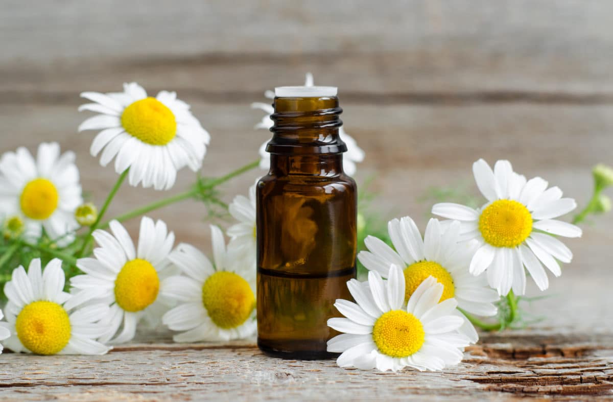 Chamomile essential oil for eczema