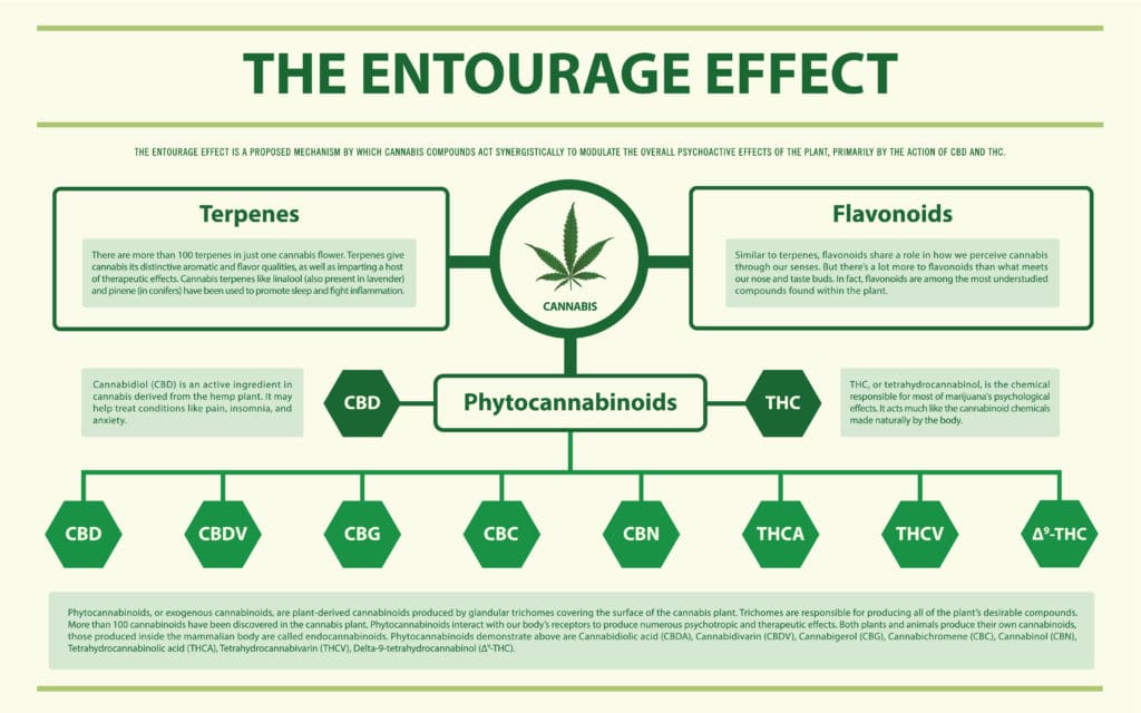 entourage effect: cbd and thc