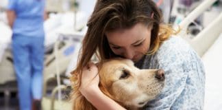Animal Therapy for Chronic Pain