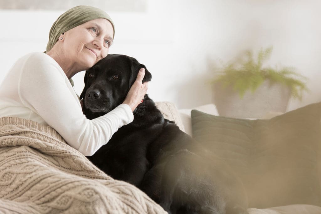 What are the benefits of animal therapy for chronic pain?